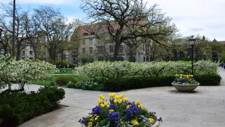Summer Quad
