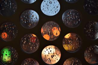 Geometric arrangement of circles with raindrops and colored lights showing through