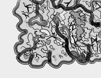 Black and white illustration of a tumultuous cloud spilling into view from the top right, full of vague shapes and figures, resembling a brain as much as a cloud